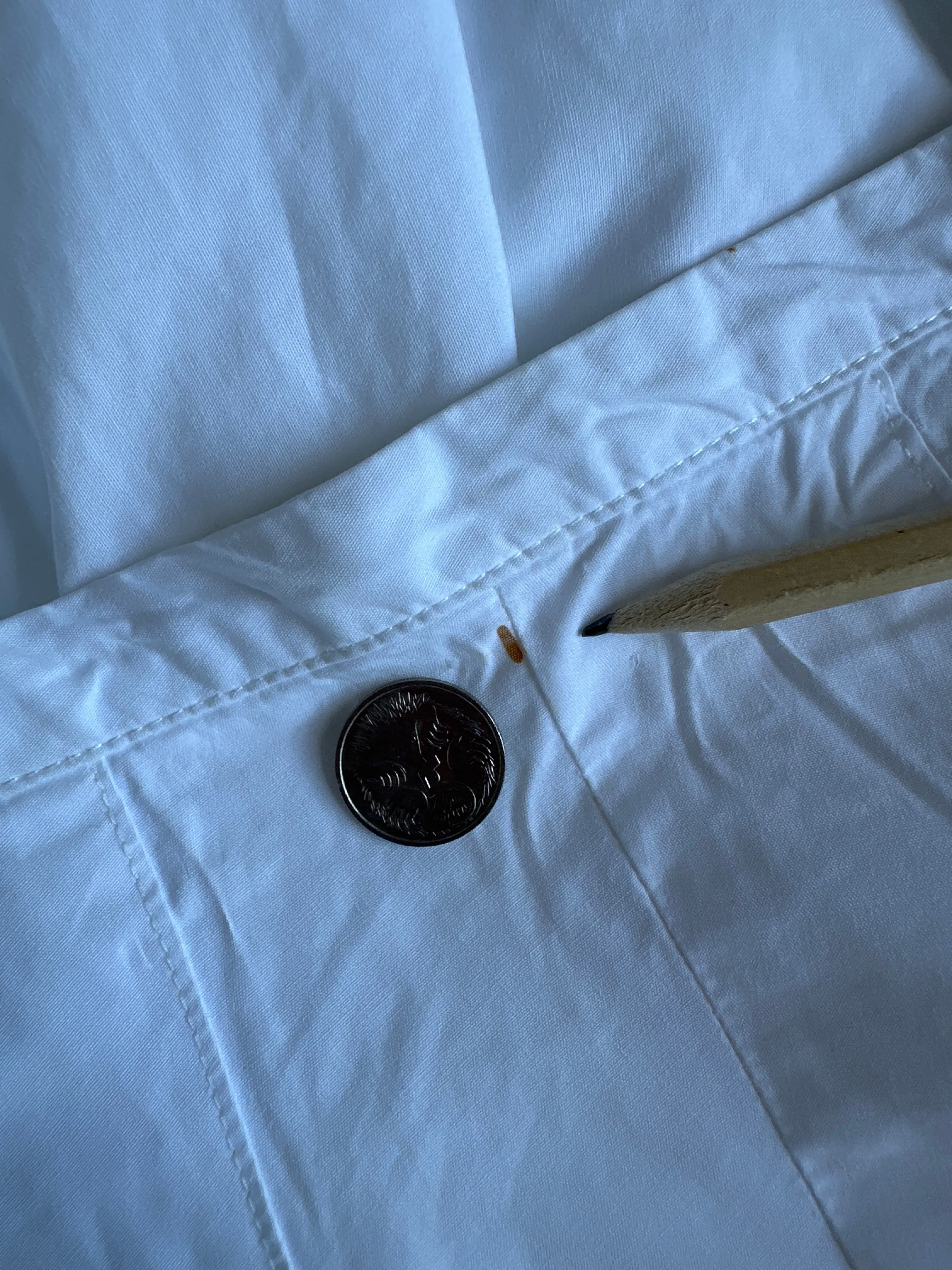 Yarra Trail | skirt | size 14 | midi length | 100% cotton